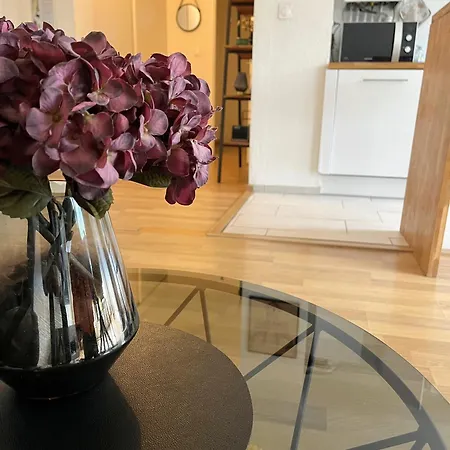 Theskyfall , Cosy Appartement, Terrasse & Parking *